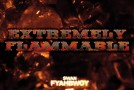 Swan Fyahbwoy – Extremely Flammable [2012] (Descarga)